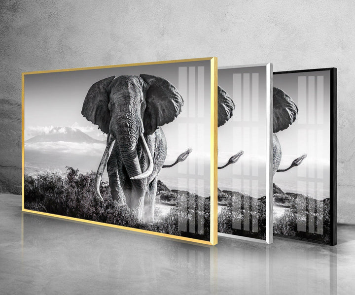 Old Elephant Running Glass Wall Art picture on glass wall art, photos printed on glass