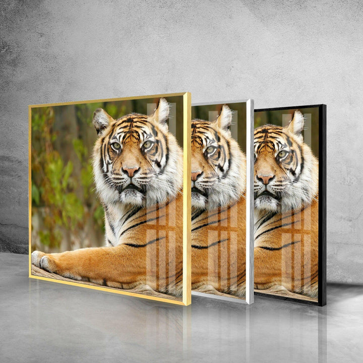 Tiger View Glass Wall Art glass art painting, glass art for the Wall