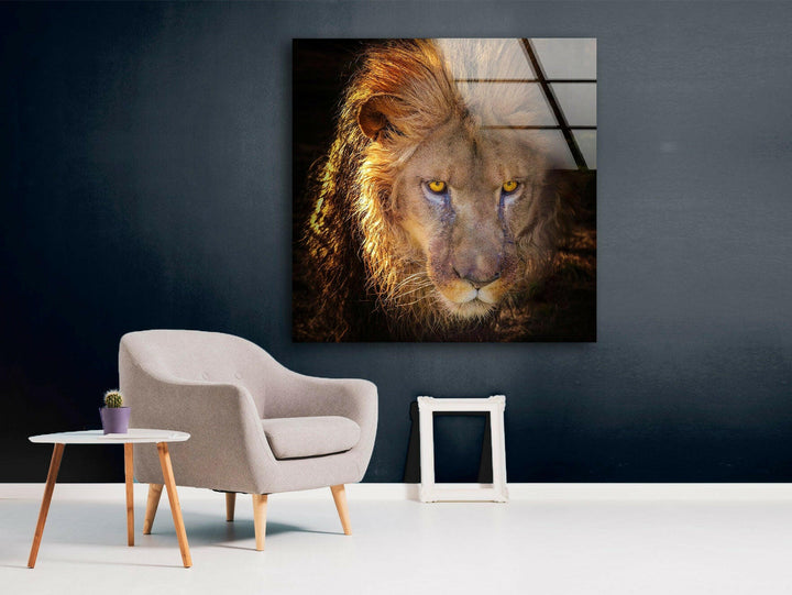 Angry Lion Glass Wall Art glass image printing, glass prints from photos