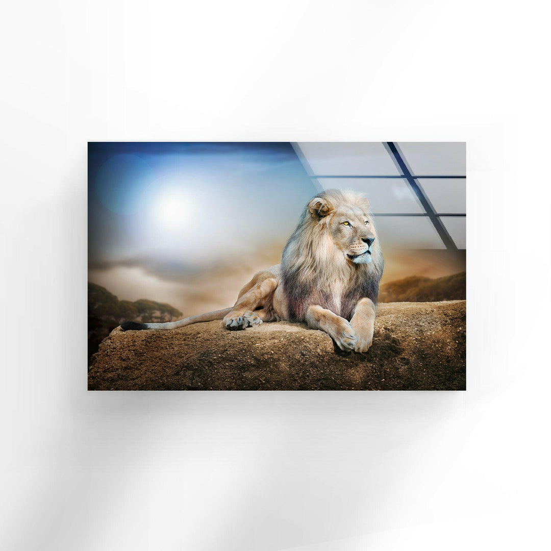 King Lion Laying Glass Wall Art custom glass photo prints, large glass prints