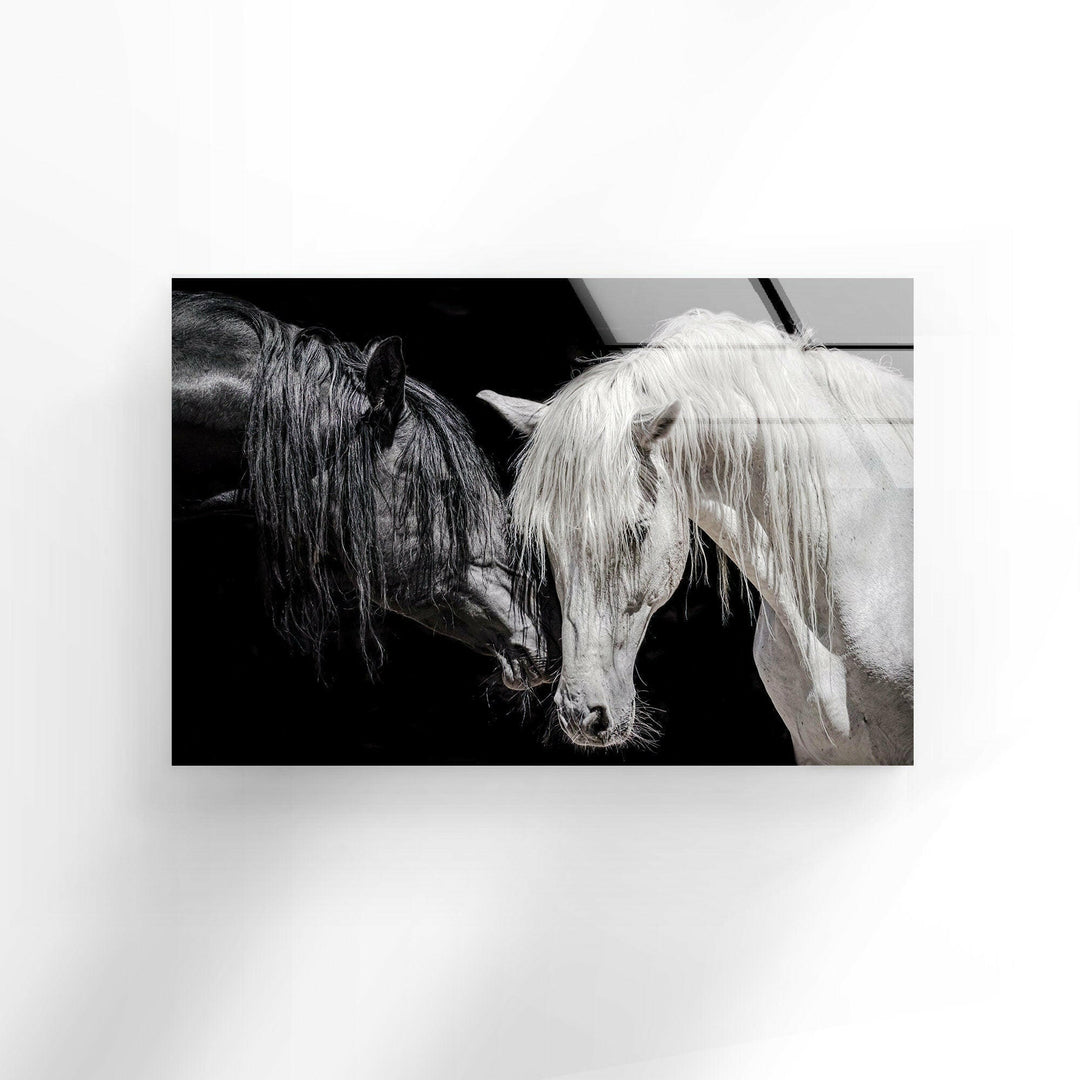 Africa Couple Horse Wall Art photo print on glass, prints on glass wall art