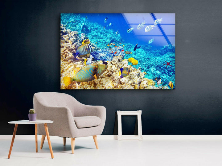 Tropical Ocean Fishes Glass Wall Art picture on glass wall art, photos printed on glass