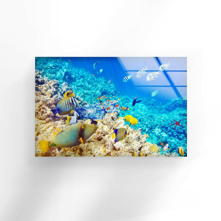 Tropical Ocean Fishes Glass Wall Art print picture on glass, Tempered Glass Wall Art