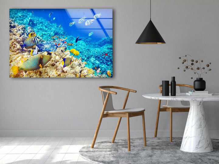 Tropical Ocean Fishes Glass Wall Art print on glass, glass printed photos