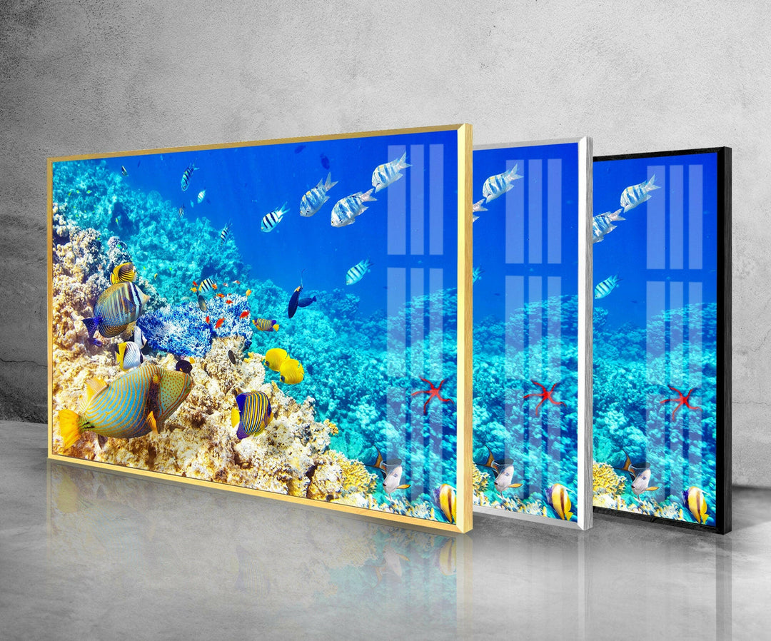 Tropical Ocean Fishes Glass Wall Art Glass Printing Wall Art, Print photos on glass