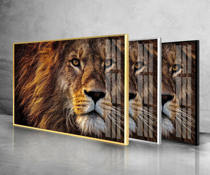 Lion Wild Life Glass Wall Art glass pictures for Wall, glass prints wall art