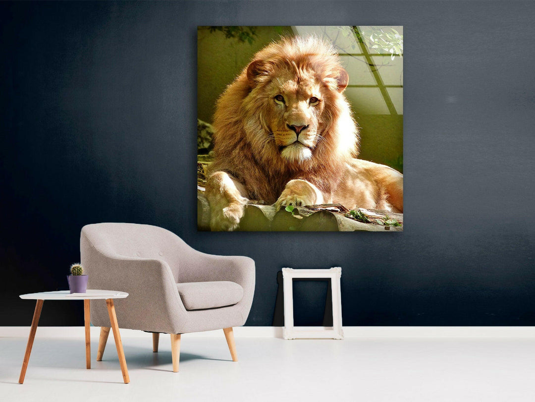 Wild Lion Portrait Glass Wall Art Glass Printing Wall Art, Print photos on glass