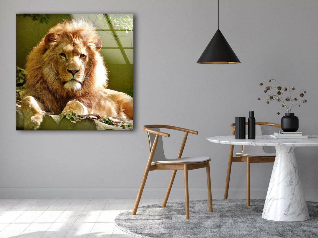 Wild Lion Portrait Glass Wall Art glass art painting, glass art for the Wall