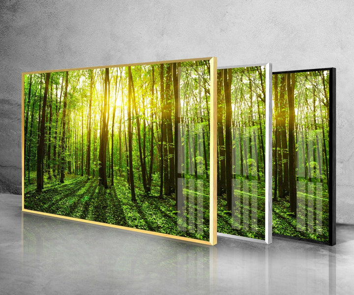 Forest Landscape Tempered Glass Wall Art - MyPhotoStation