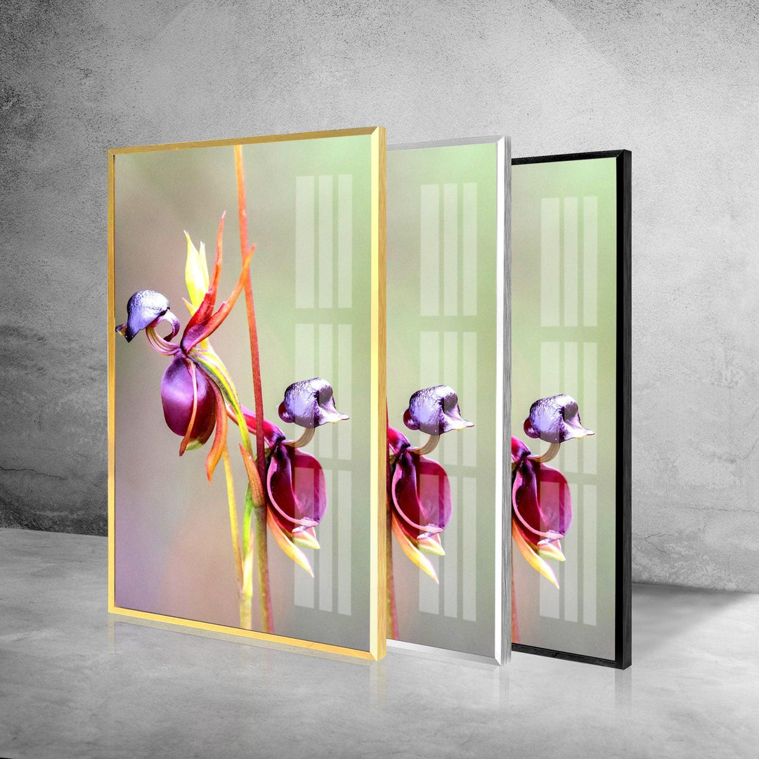 Flying Duck Orchid Glass Wall Art, photo print on glass, prints on glass wall art