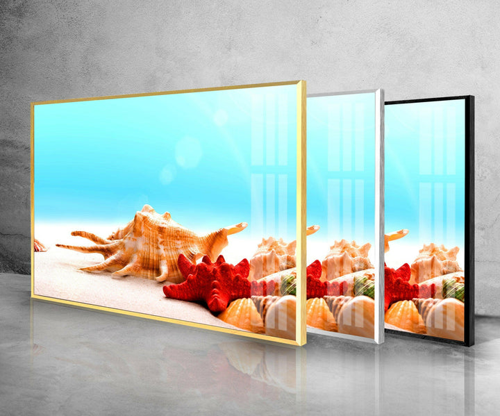 Seashells & Starfish Glass Wall Art picture on glass wall art, photos printed on glass