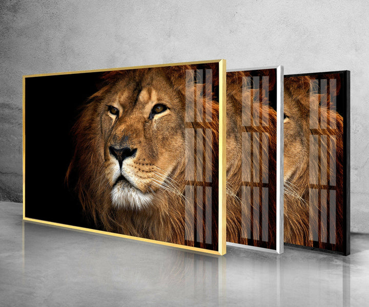 Asiatic Lion Glass Wall Art glass pictures for Wall, glass prints wall art