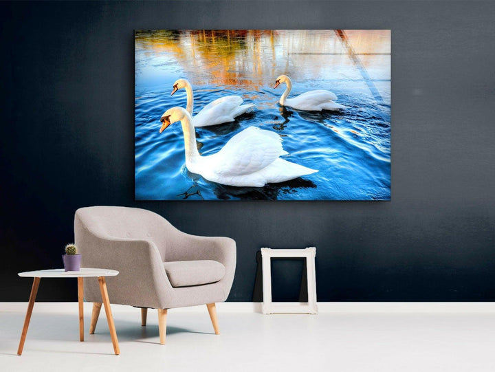 Swans on Lake Glass Wall Art large glass photo prints, glass wall photos