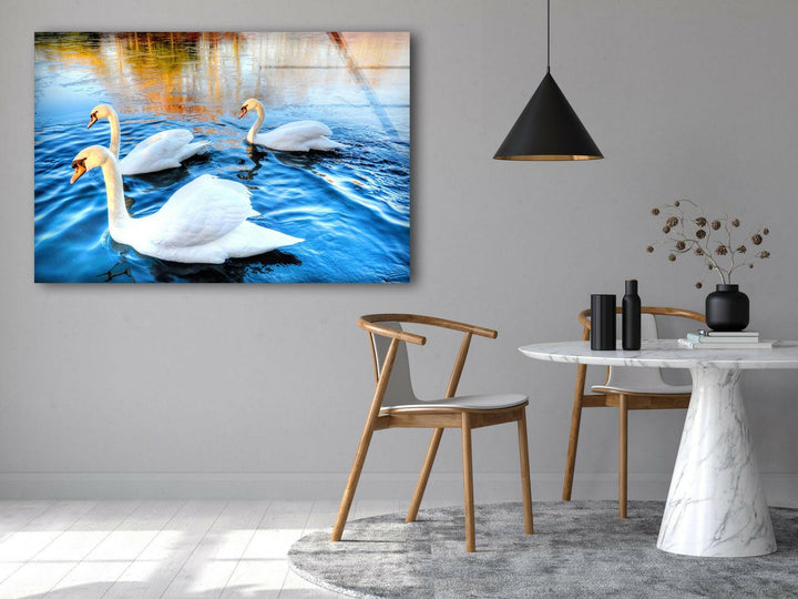 Swans on Lake Glass Wall Art custom glass photo prints, large glass prints