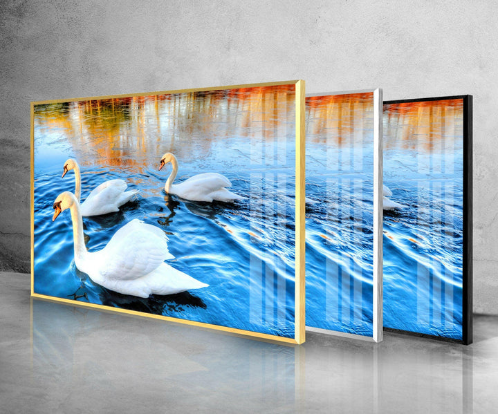 Swans on Lake Glass Wall Art picture on glass wall art, photos printed on glass