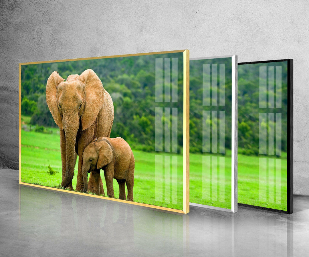 Elephants in Nature Glass Wall Art print on glass, glass printed photos