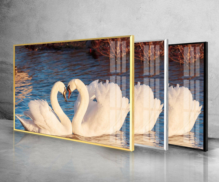 Heart of Swans Glass Wall Art print picture on glass, Tempered Glass Wall Art