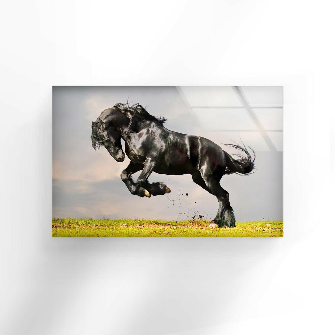 Friesian Horse Glass Wall Art glass image printing, glass prints from photos