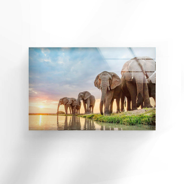 Safari Elephant Group Glass Wall Art print picture on glass, Tempered Glass Wall Art