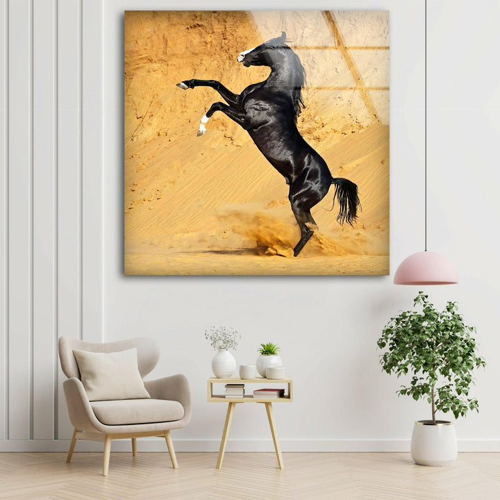 Black Horse on Desert Glass Wall Art Glass Printing Wall Art, Print photos on glass