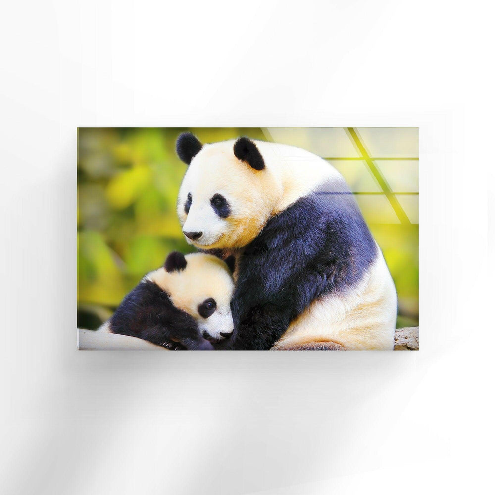 Panda Family Glass Wall Art print on glass, glass printed photos