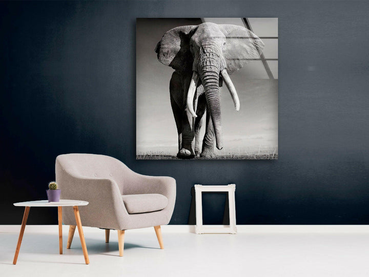 Black White Elephant Glass Wall Art glass art painting, glass art for the Wall