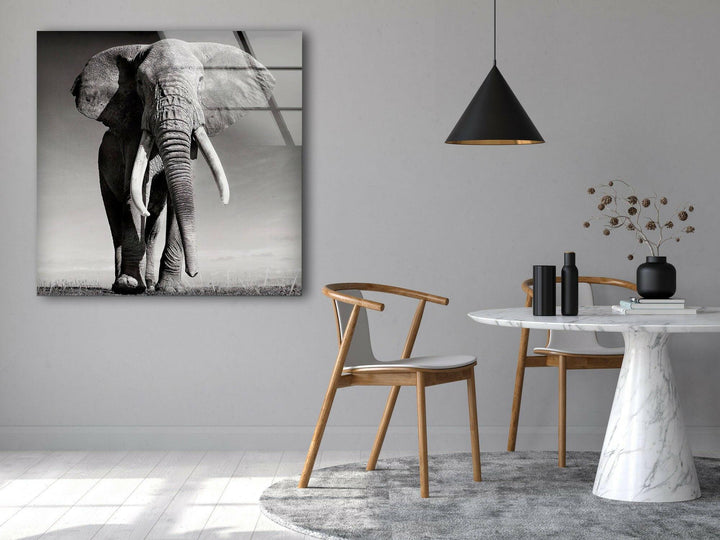 Black White Elephant Glass Wall Art glass photo prints, glass picture prints