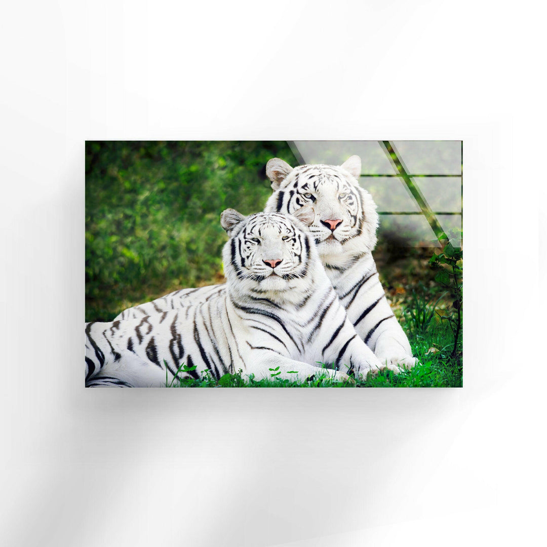 White Tigers Glass Wall Art picture on glass wall art, photos printed on glass