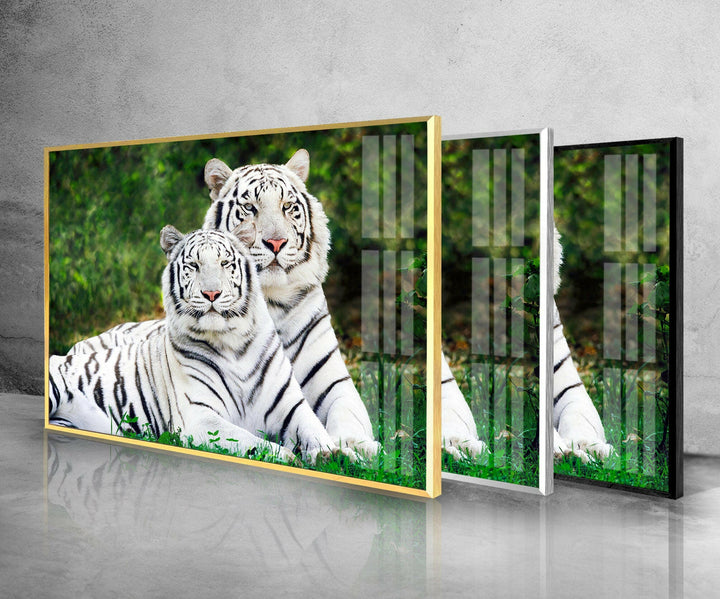 White Tigers Glass Wall Art print on glass, glass printed photos