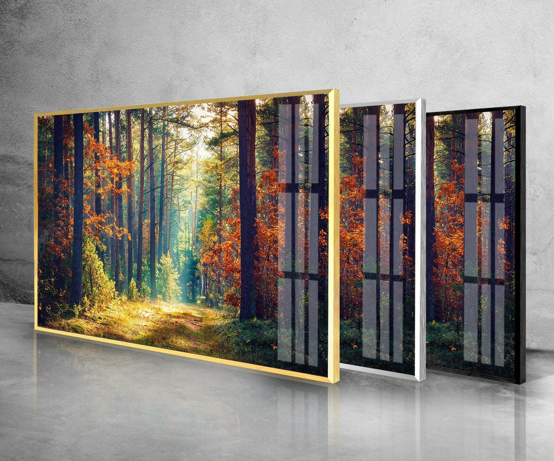 Nature Green Forest Glass Wall Art glass image printing, glass prints from photos