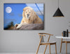 White Lion Sitting Glass Wall Art print on glass, glass printed photos