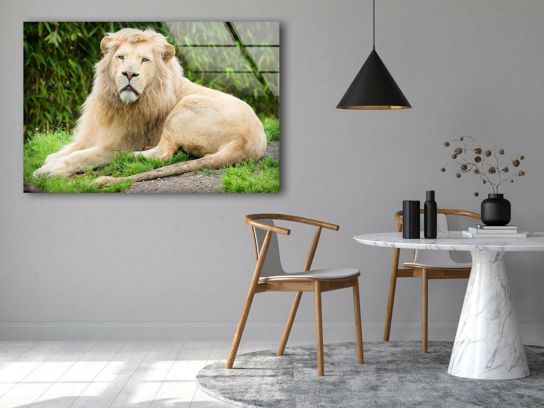 Safari Lion Glass Wall Art custom glass pictures, glass art prints