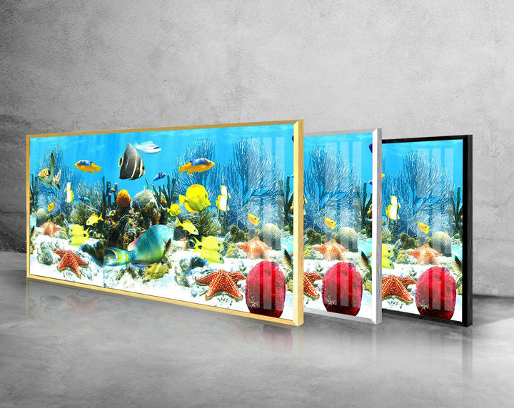 Colorful Tropical Fishes Glass Wall Art, print picture on glass, Tempered Glass Wall Art