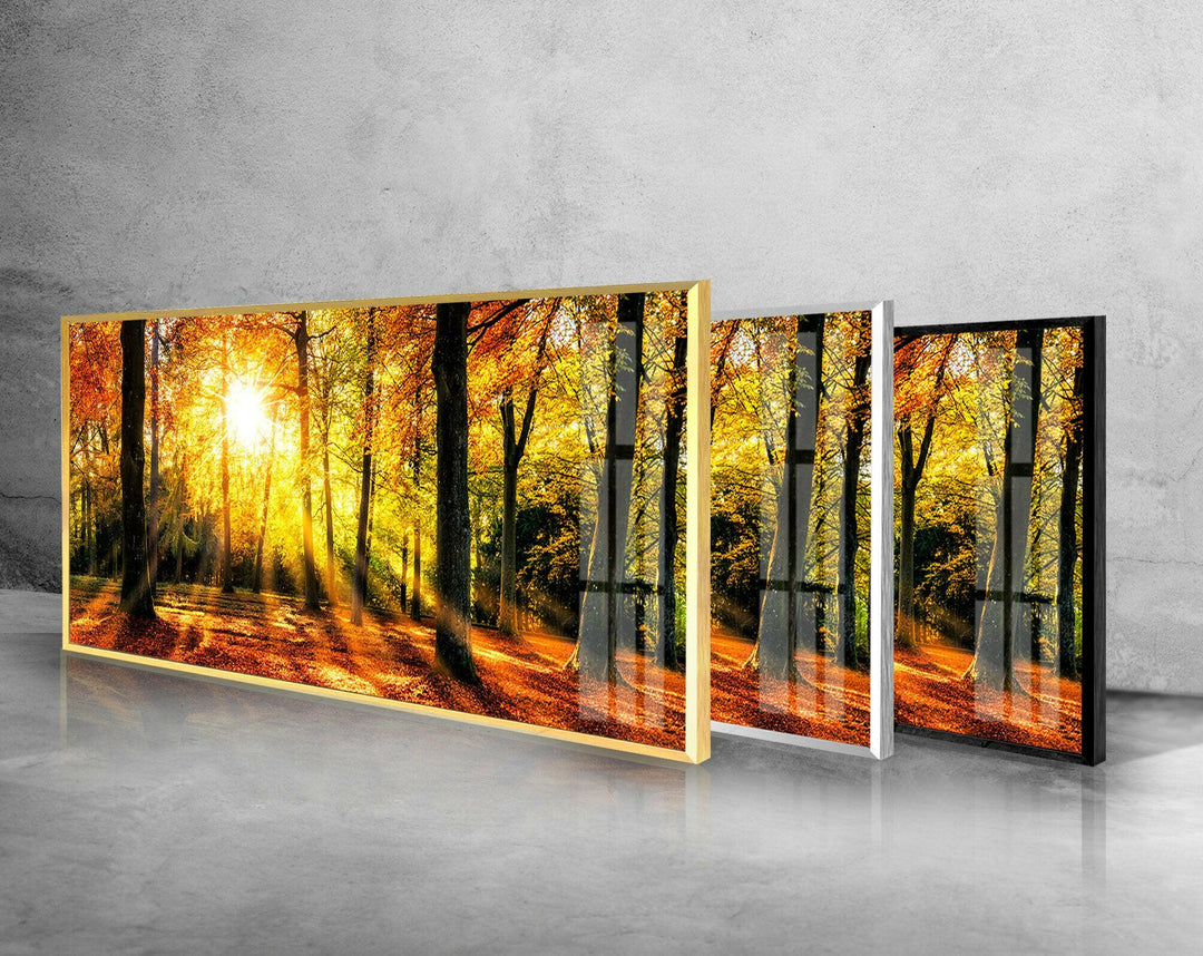 Autumn Forest Landscape Glass Wall Art, glass image printing, glass prints from photos