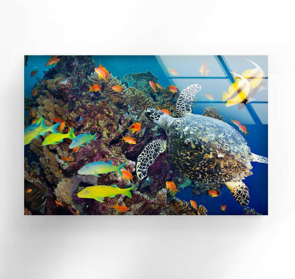 Undersea Fishes Glass Wall Art glass image printing, glass prints from photos