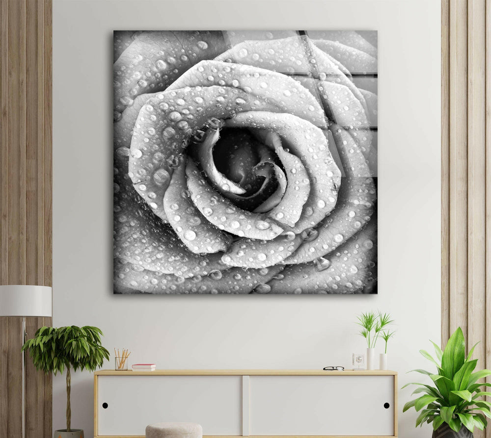 Black and White Rose Glass Wall Art, picture on glass wall art, photos printed on glass