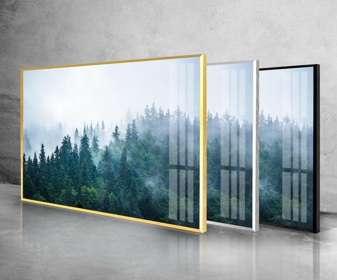 Foggy Forest Nature Glass Wall Art