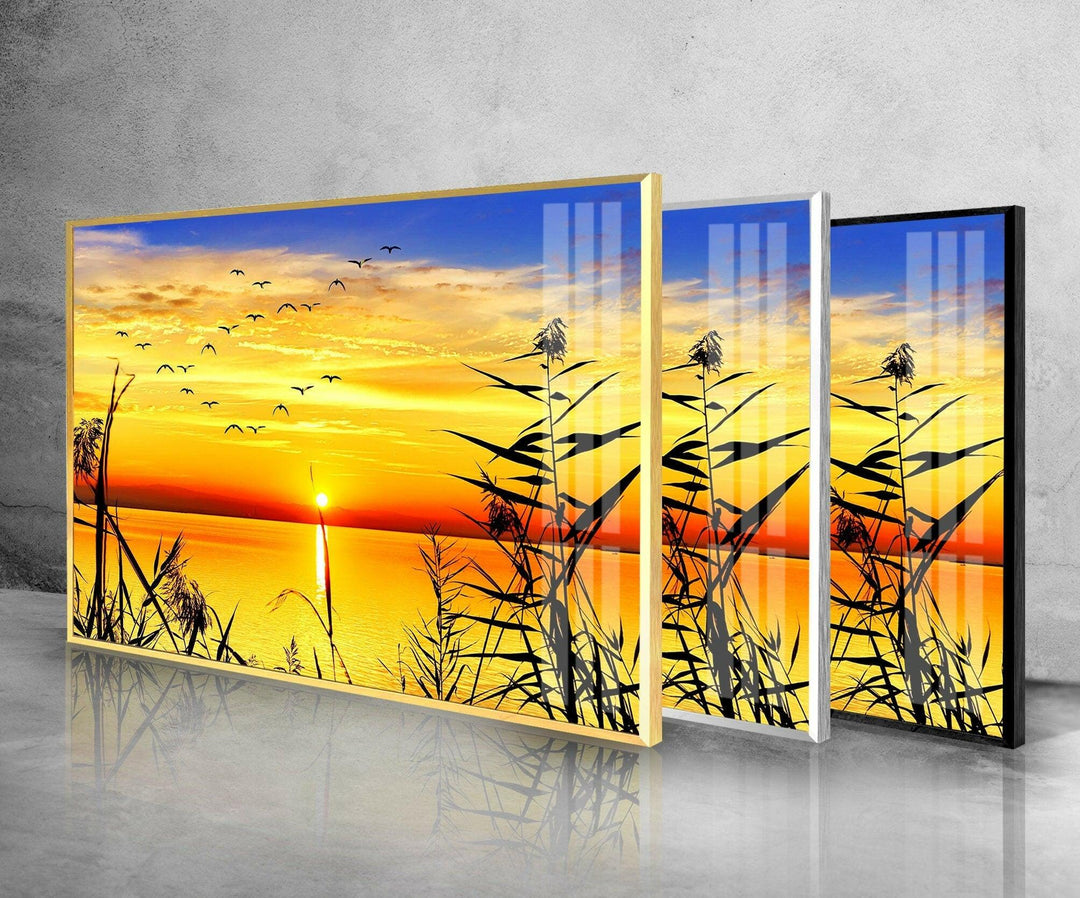 Grass Upon Water By Sunset Glass Wall Art