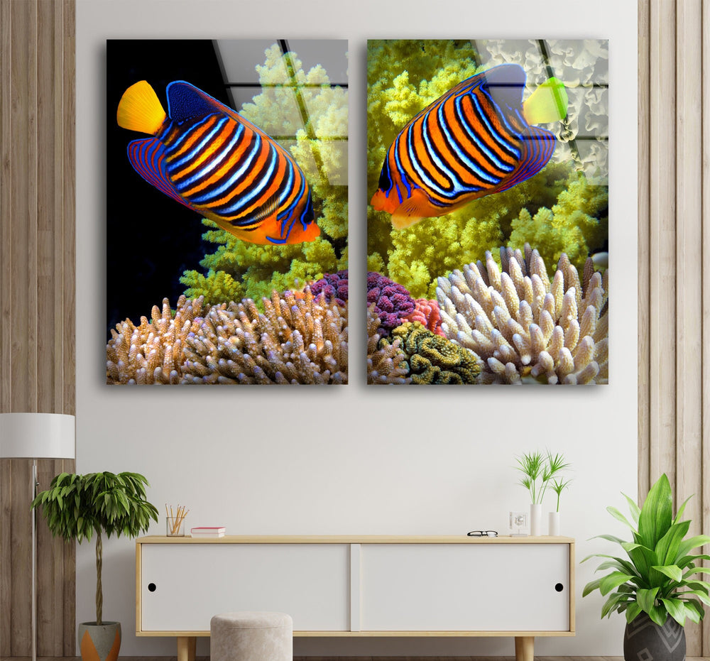 Royal Angelfish Undersea Landscape Glass Wall Art, Glass Printing Wall Art, Print photos on glass