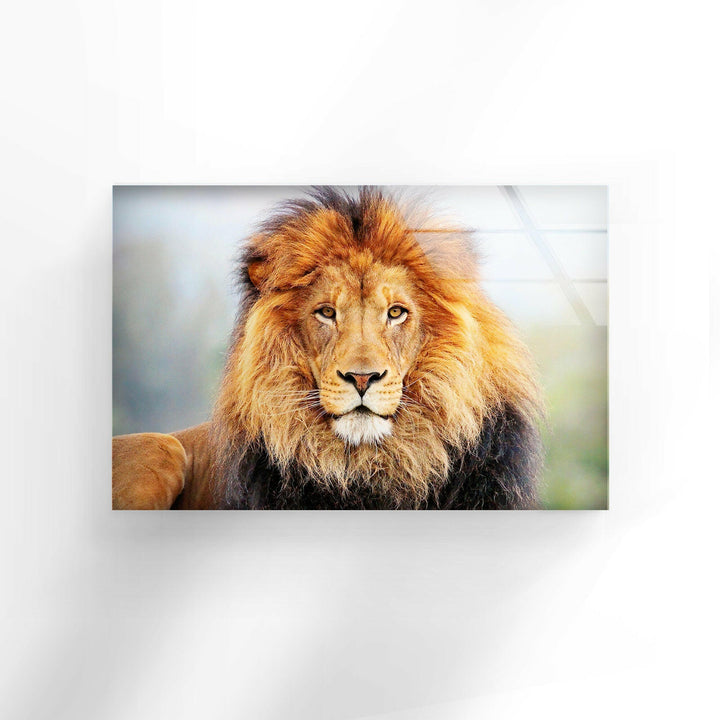 Wild Lion Portrait Glass Wall Art print on glass, glass printed photos