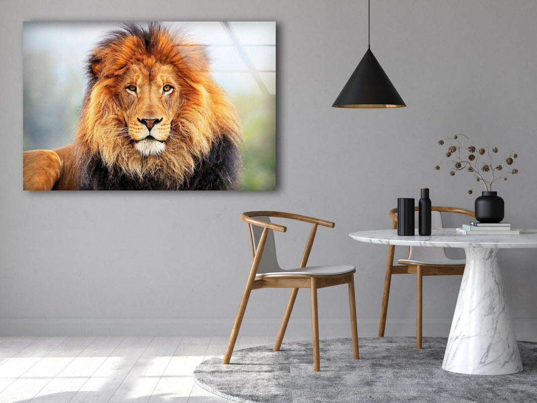 Wild Lion Portrait Glass Wall Art art glass wall art, glass wall art pictures