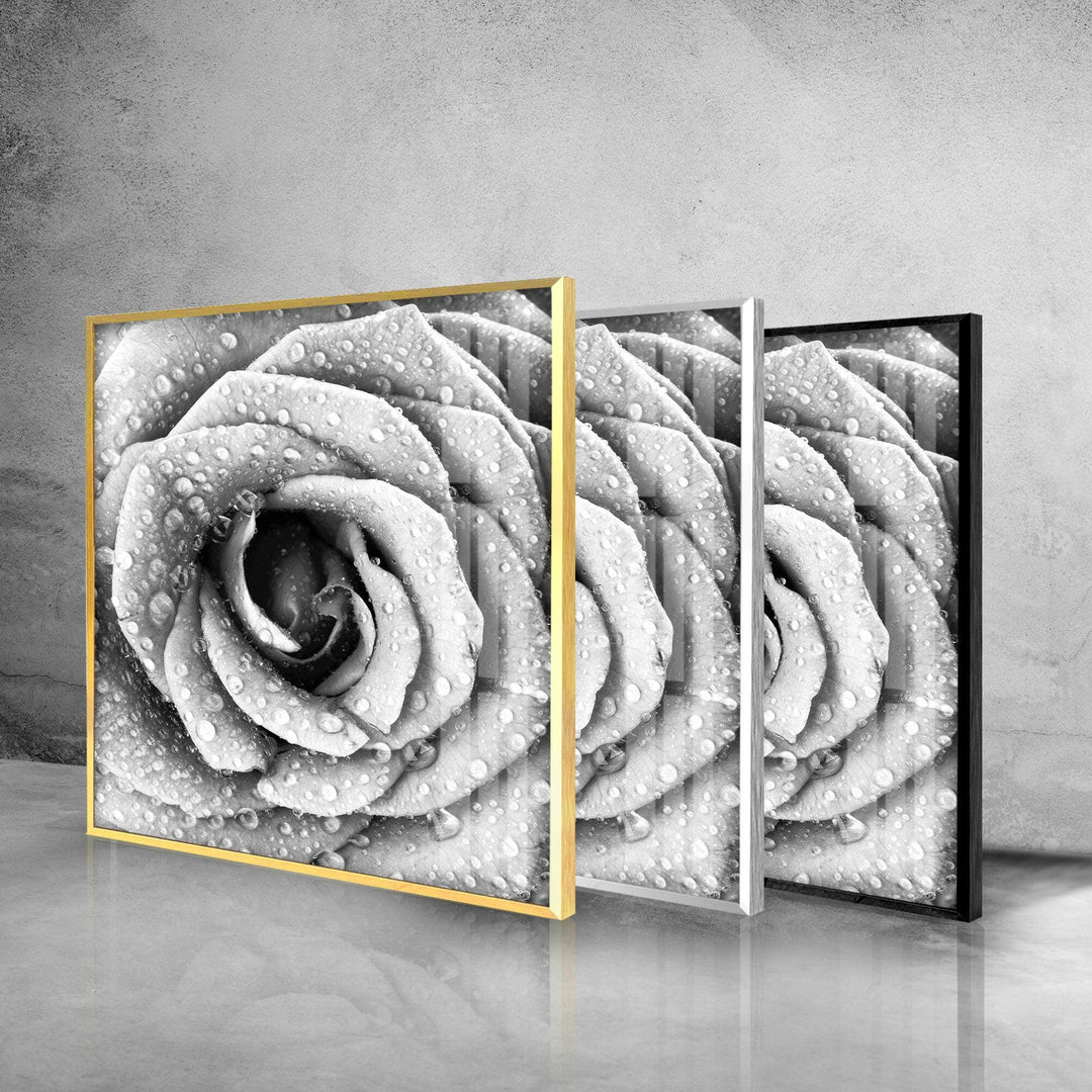 Black and White Rose Glass Wall Art, glass pictures for Wall, glass prints wall art