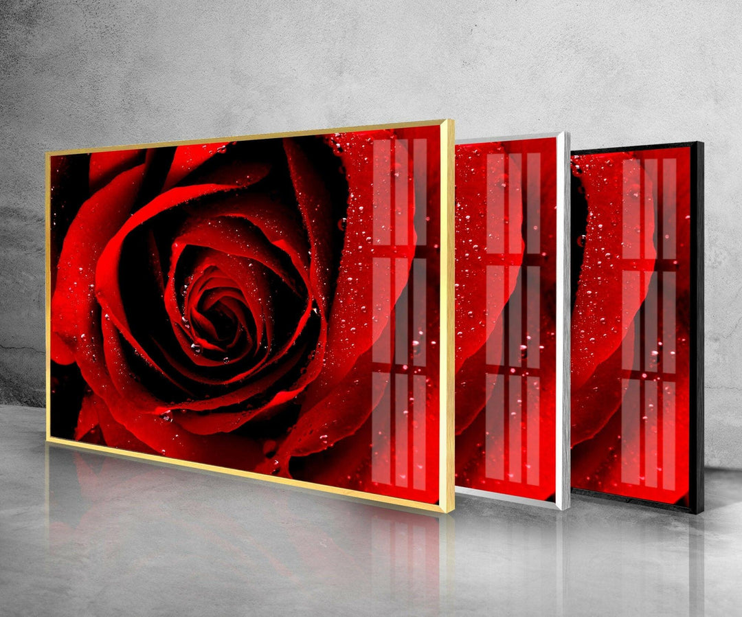 Red Rose Glass Wall Art, Glass Printing Wall Art, Print photos on glass