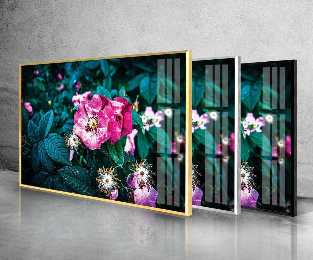 Pink Wild Rose Glass Wall Art, glass image printing, glass prints from photos
