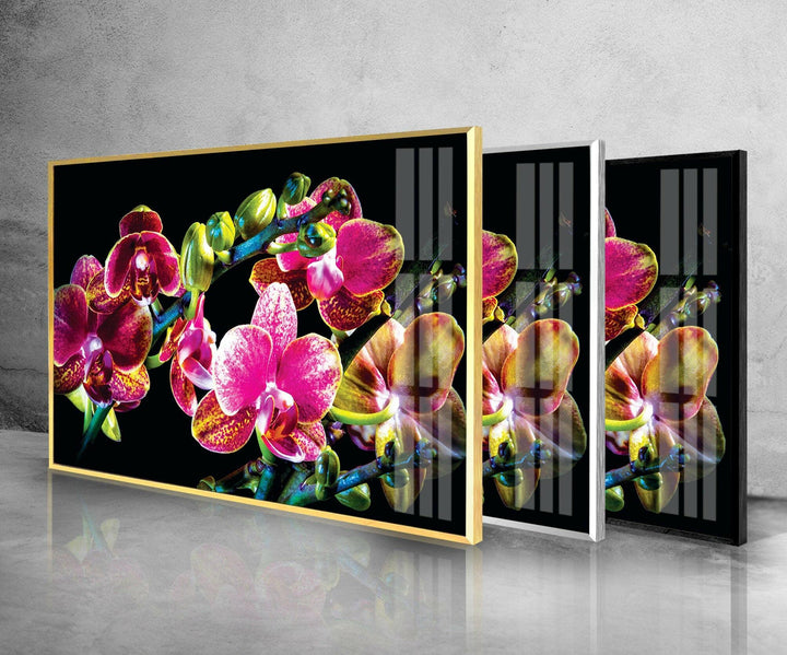 Orchid Closeup On Black Glass Wall Art, glass pictures for Wall, glass prints wall art
