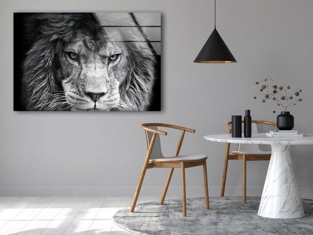 Gray Lion Animal Glass Wall Art glass photo prints, glass picture prints