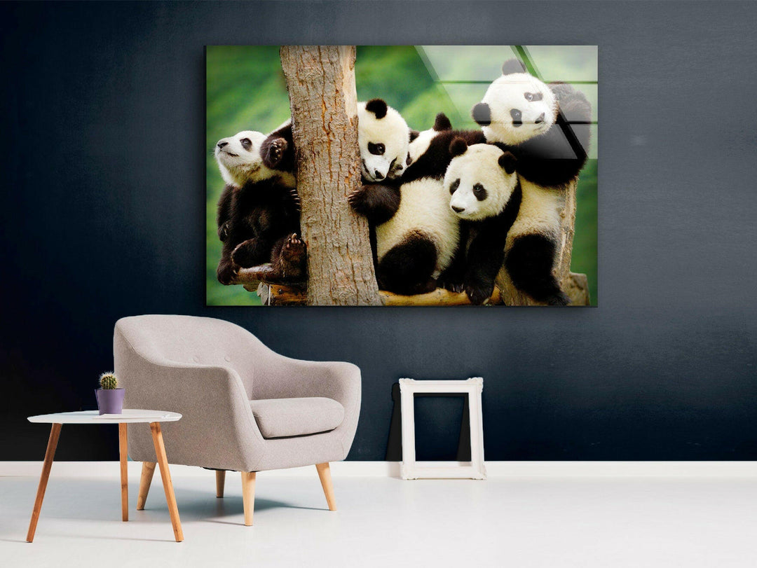 Baby Panda Glass Wall Art Glass Printing Wall Art, Print photos on glass