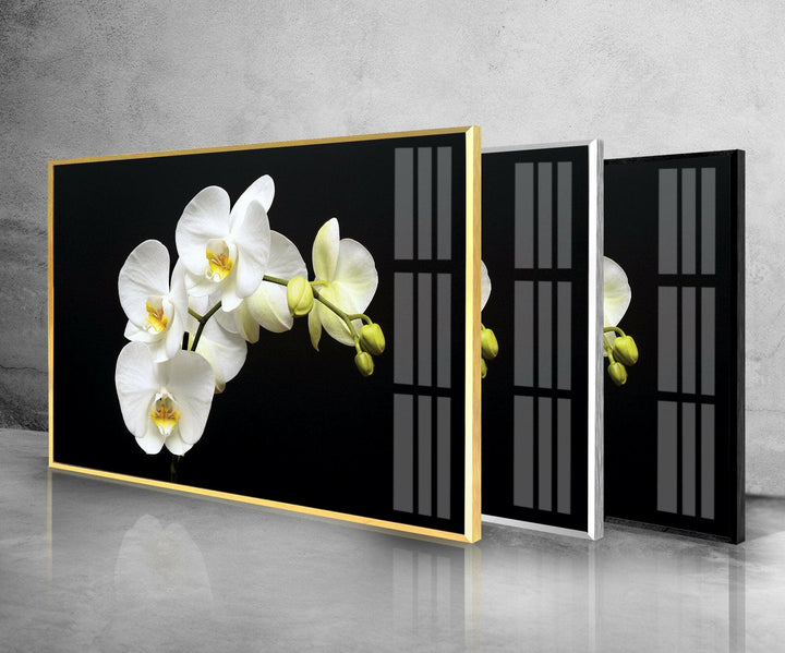 White Orchid Glass Wall Art, glass photo prints, glass picture prints