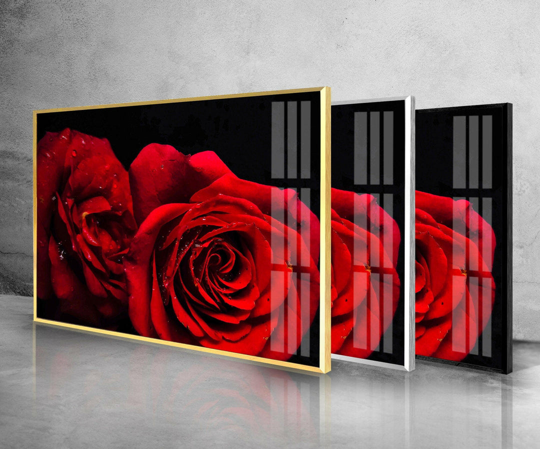 Red Rose Flower On Black Glass Wall Art, photo print on glass, prints on glass wall art
