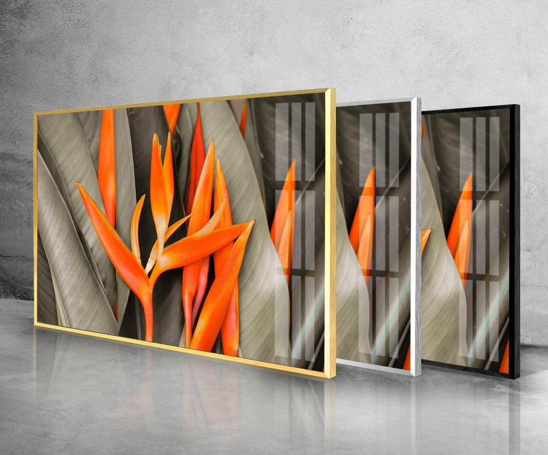 Orange Flower Glass Wall Art, photo print on glass, prints on glass wall art